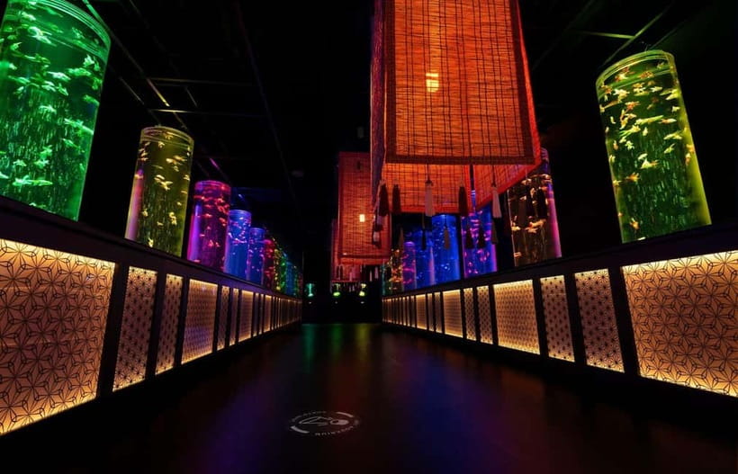 Tokyo: Art Aquarium Museum GINZA Entry Ticket - A Compact Route With Changing Details