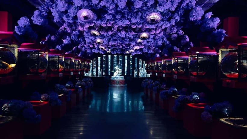 Tokyo: Art Aquarium Museum GINZA Entry Ticket - The Fish and the Ethical Question