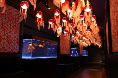 Tokyo Sumida Aquarium E-Ticket with Optional Tokyo Metro Pass