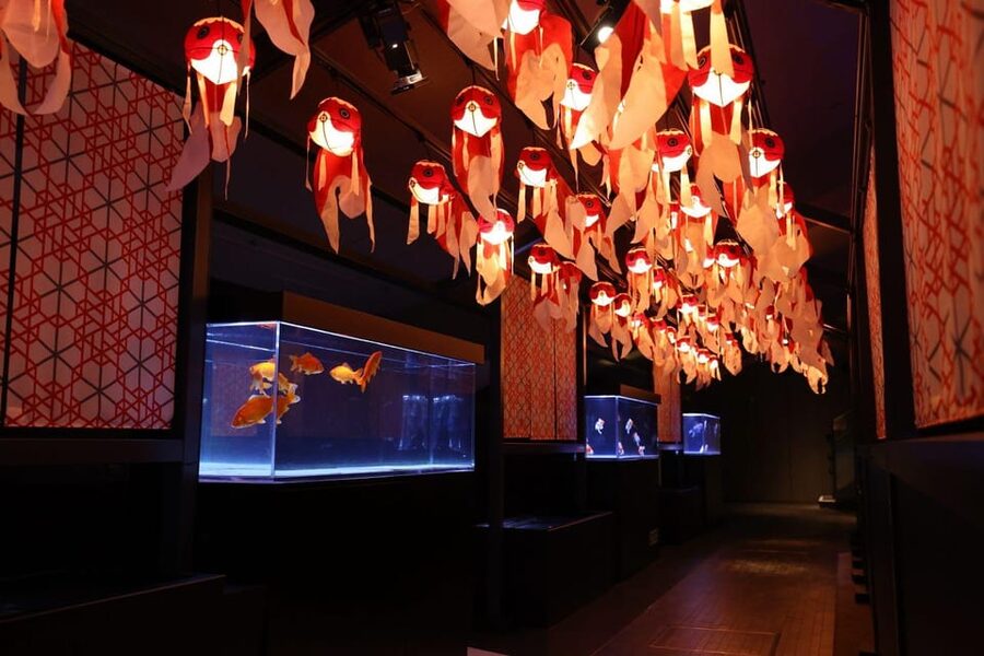 Tokyo: Sumida Aquarium Entry Ticket - Meeting Penguins, Eels, and Goldfish