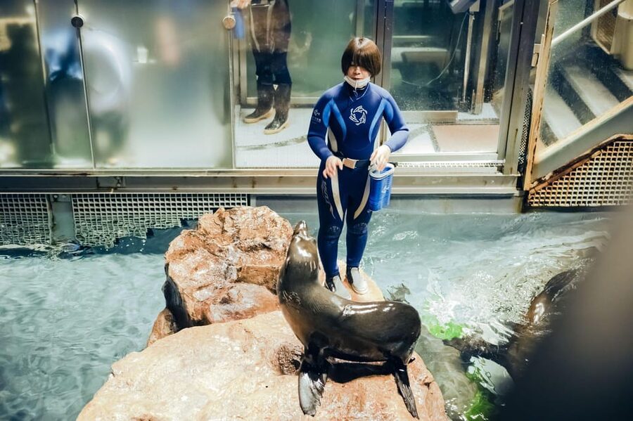 Tokyo: Sumida Aquarium Entry Ticket - How Long to Spend Inside