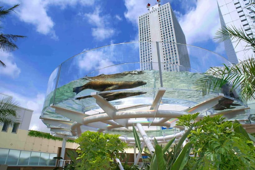 Tokyo: Sunshine Aquarium Entry Ticket - Water, Greenery, and the Tropical Resort Feeling