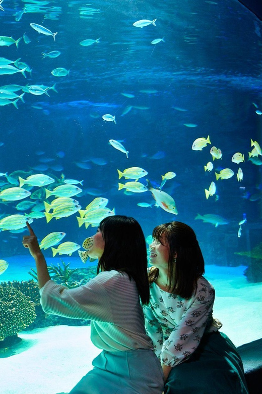 Tokyo: Sunshine Aquarium Entry Ticket - Is the $16 Ticket Good Value?
