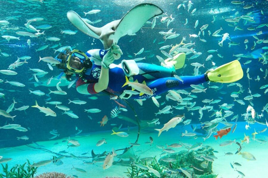 Tokyo: Sunshine Aquarium Entry Ticket - The Penguins in the Sky Display