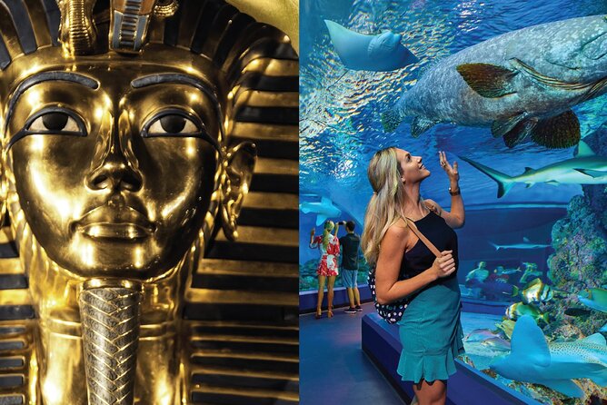 Tomb of the Pharaohs and Cairns Aquarium Combo - Key points at a glance