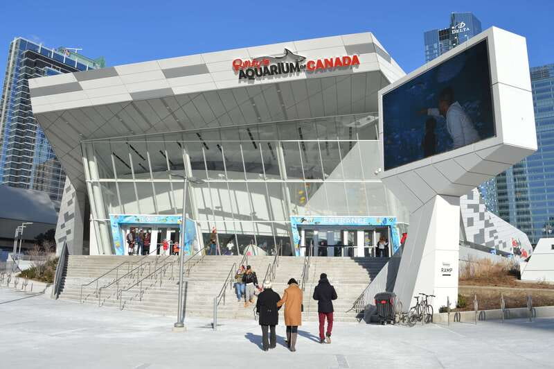 Toronto: Ripley's Aquarium of Canada Entry Ticket - Why Ripley’s Aquarium is worth your Toronto time