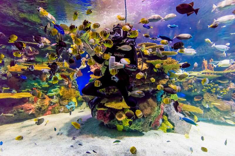 Toronto: Ripley's Aquarium of Canada Entry Ticket - Stingray touch pools and hands-on time