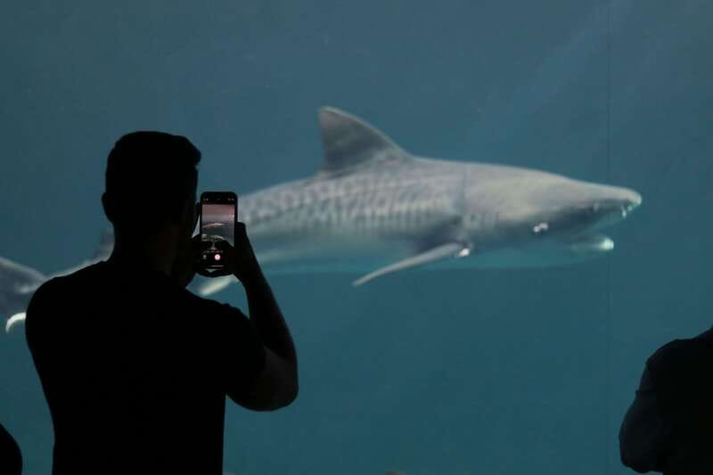 Veracruz: 5-Attraction Tour with Aquarium and Boat Tour - San Juan de Ulúa puts Veracruz’s past in stone