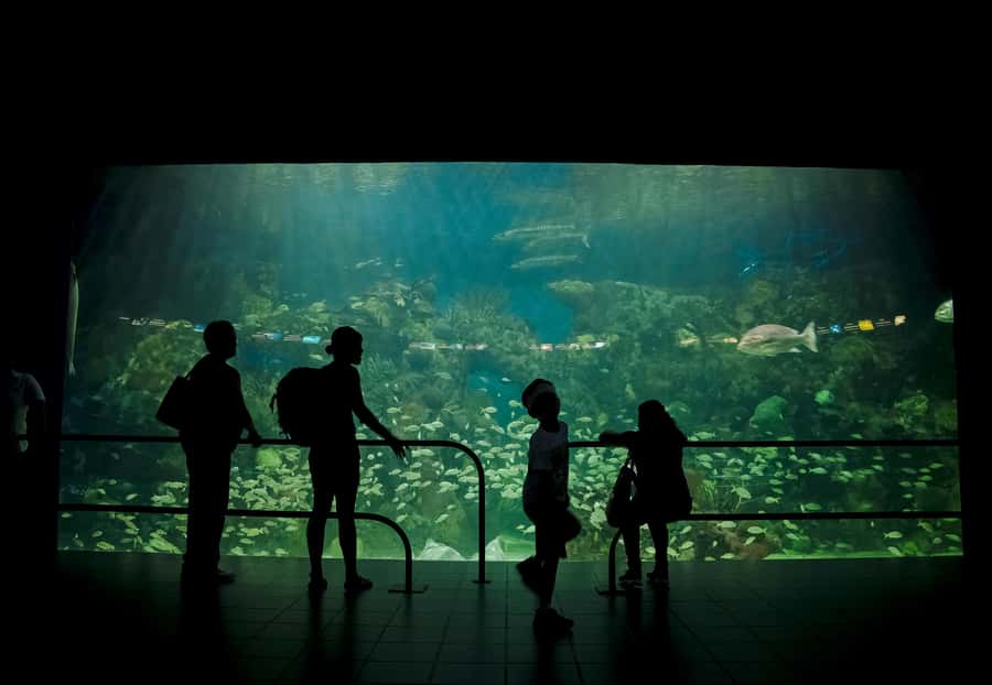 Veracruz: Panoramic Sightseeing City Tour and Aquarium - Is $36 a fair price?