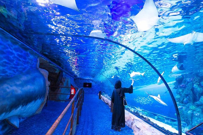VIP Experience Dubai Aquarium & Underwater Zoo-As per Selection - An aquarium beneath Dubai Mall