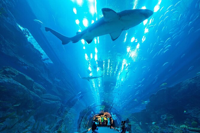 VIP Experience Dubai Aquarium & Underwater Zoo-As per Selection - How long your visit may take