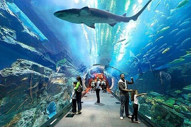 VIP Experience Dubai Aquarium & Underwater Zoo-As per Selection - Who will enjoy this most?