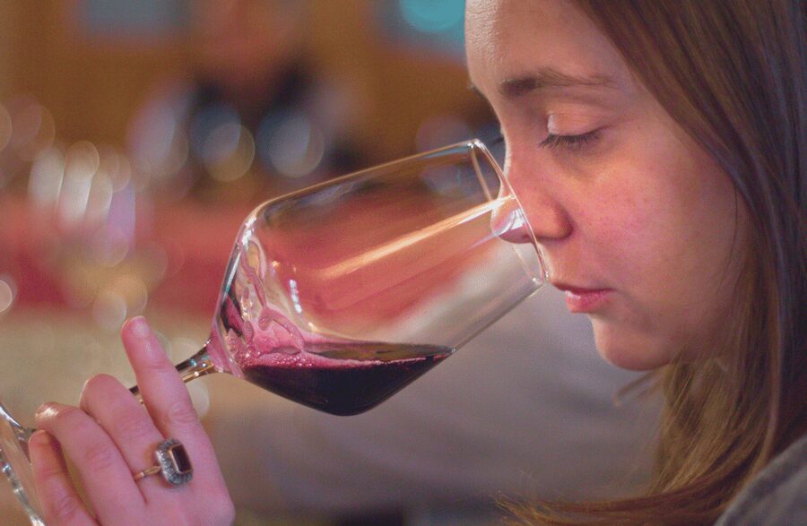 Wine Tasting near the Aquarium of Genoa - The four-wine lineup