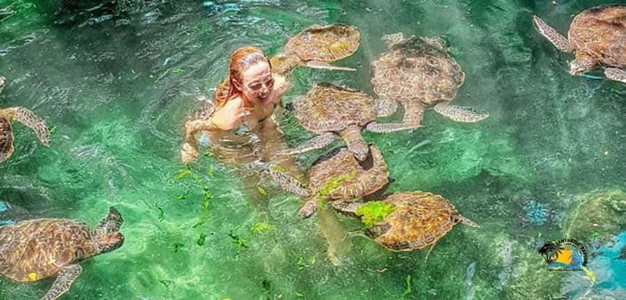 Zanzibar: Baraka Aquarium Feed, Swim & Snorkel with Turtles - Arriving at Baraka Natural Aquarium in Nungwi