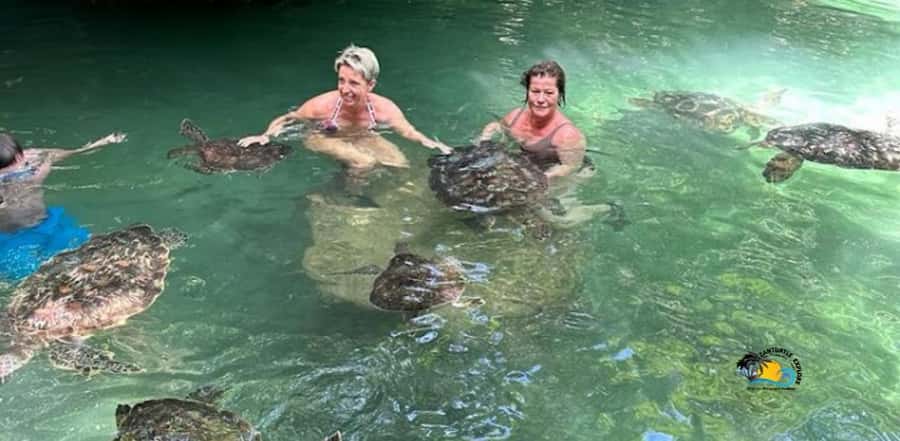Zanzibar: Baraka Aquarium Feed, Swim & Snorkel with Turtles - Practical advice for a smoother visit