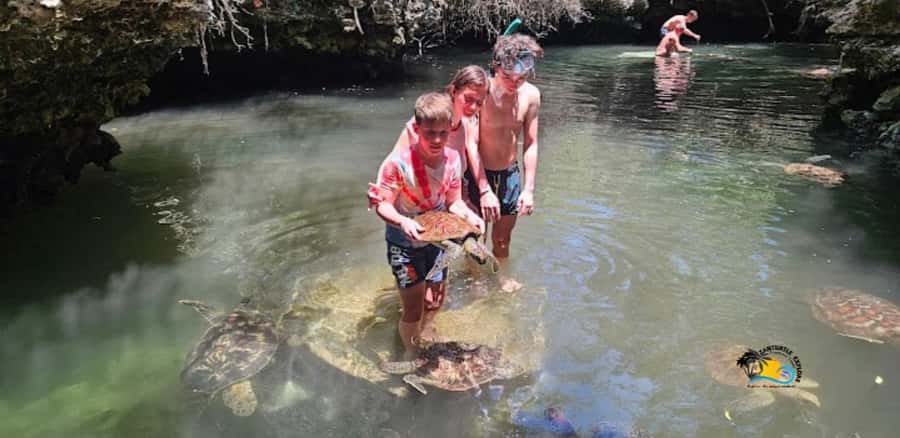 Zanzibar: Baraka Aquarium Feed, Swim & Snorkel with Turtles - FAQ