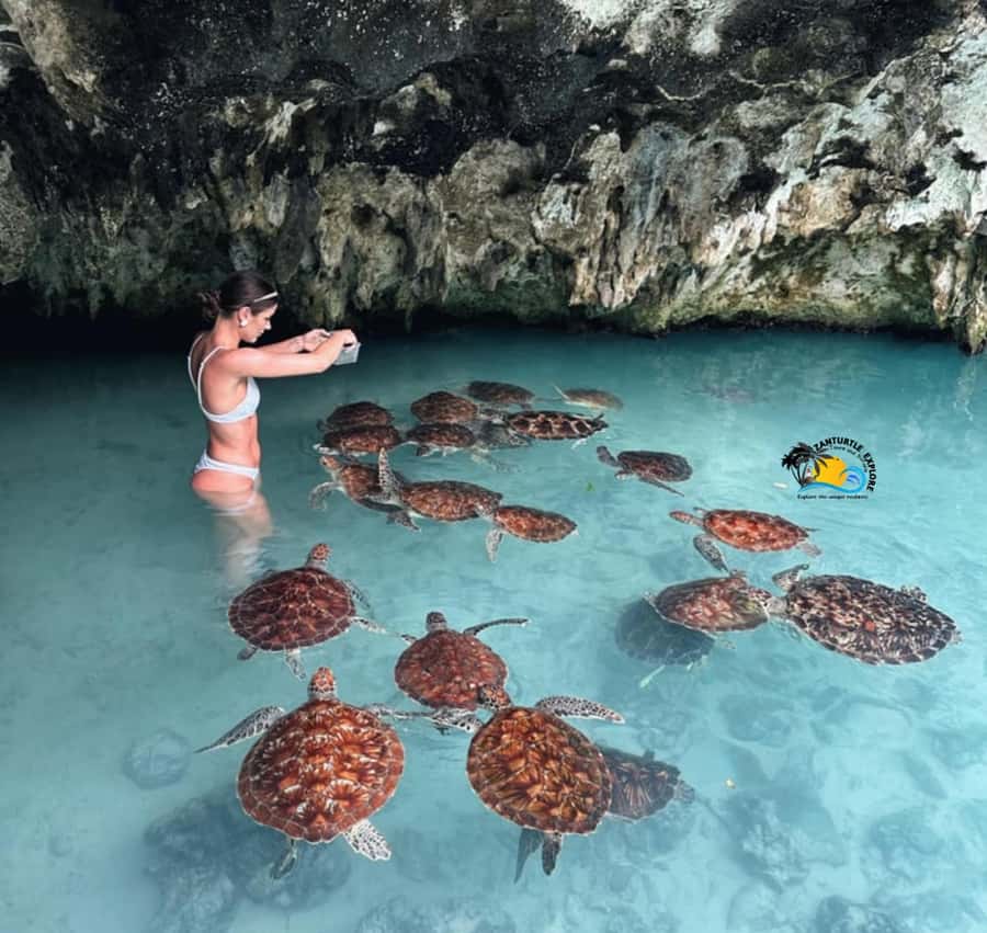 Zanzibar: Jozani Forest, Kuza Cave & Salaam Cave Aquarium - Key points to know before booking