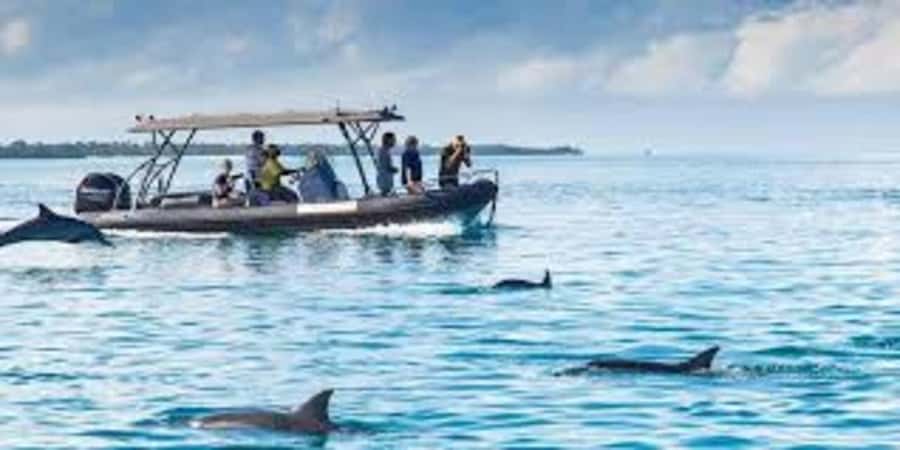 ZANZIBAR: Mnemba island, Baraka aquarium and spice farm - Key points at a glance