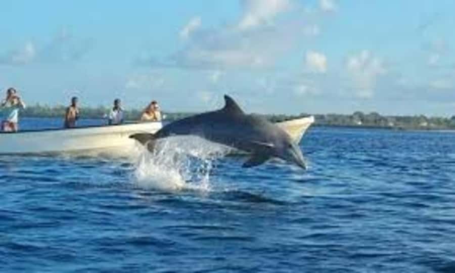 ZANZIBAR: Mnemba island, Baraka aquarium and spice farm - Seafood and local spice food by the beach