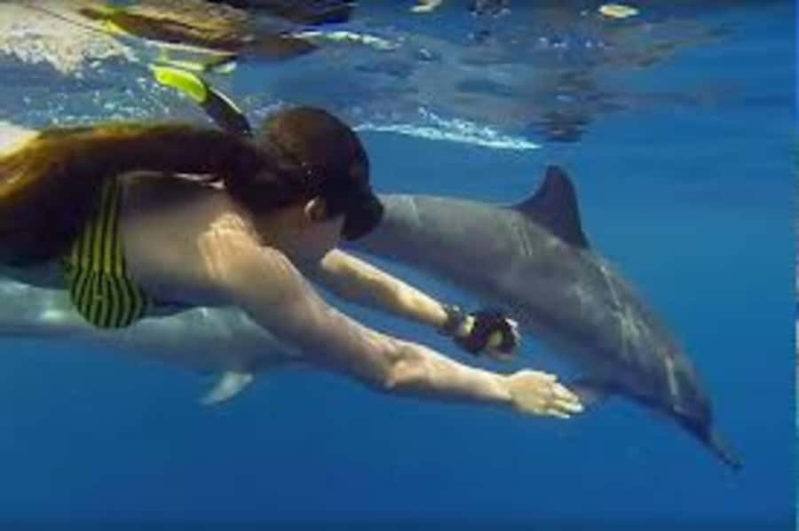 ZANZIBAR: Mnemba island, Baraka aquarium and spice farm - What to bring and what to confirm