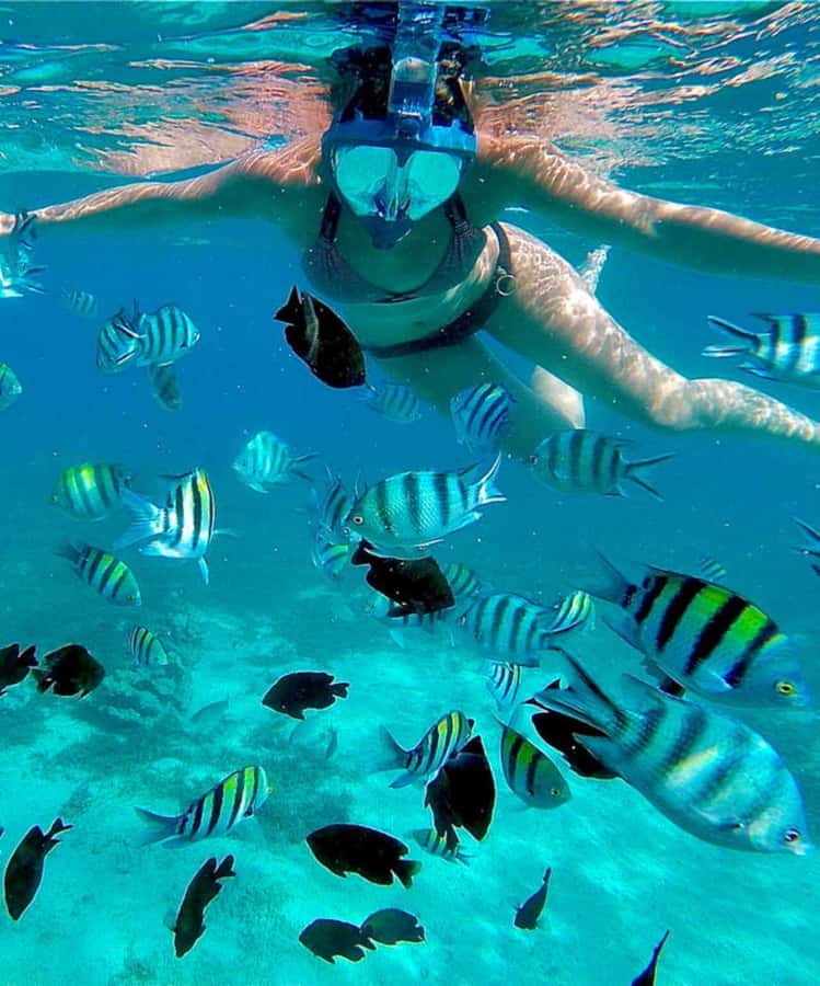 ZANZIBAR: Mnemba Island Snorkeling & Turtle Aquarium Tour - Booking flexibility and practical conditions