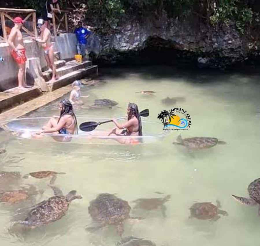 Zanzibar: Nungwi Mnarani Aquarium Feed and Swim with Turtles - Arriving in Nungwi by private hotel transfer