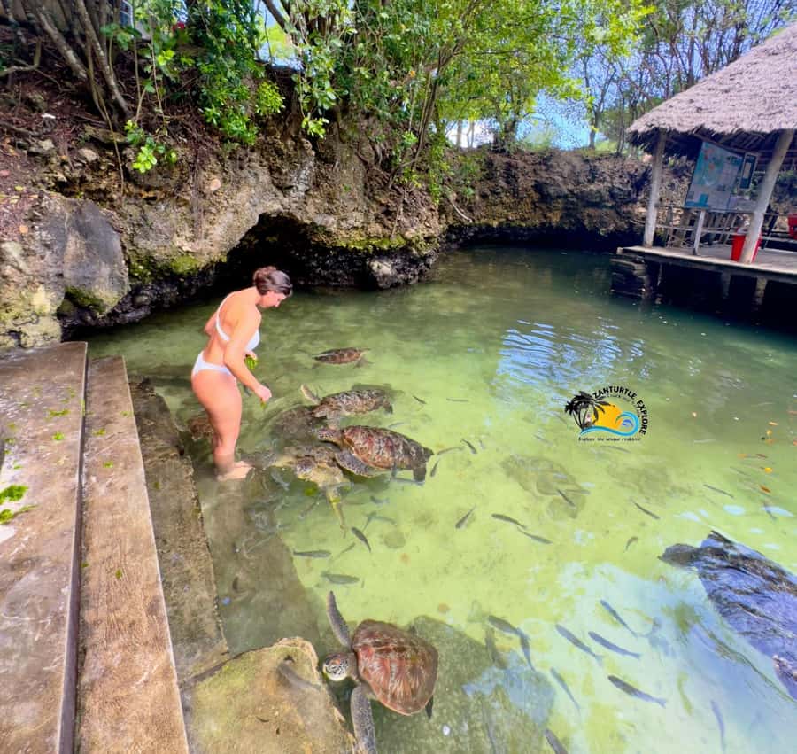 Zanzibar: Nungwi Mnarani Aquarium Feed and Swim with Turtles - What to pack for a wet, sunny visit