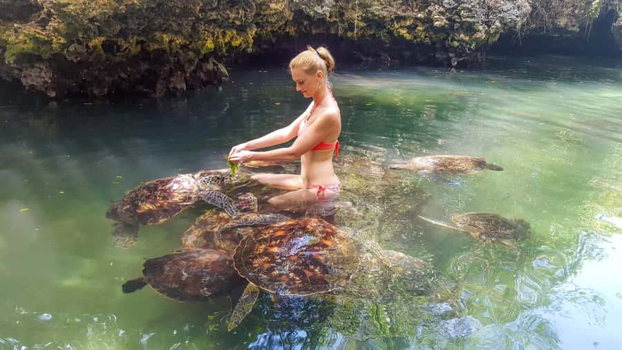 Zanzibar: Nungwi Turtle Aquarium Guided Half-Day Trip - Reaching Nungwi from your Zanzibar hotel
