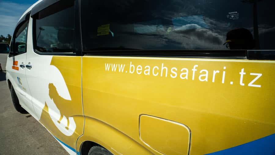 Zanzibar: Nungwi Turtle Aquarium Guided Half-Day Trip - Practical advice for a smoother visit