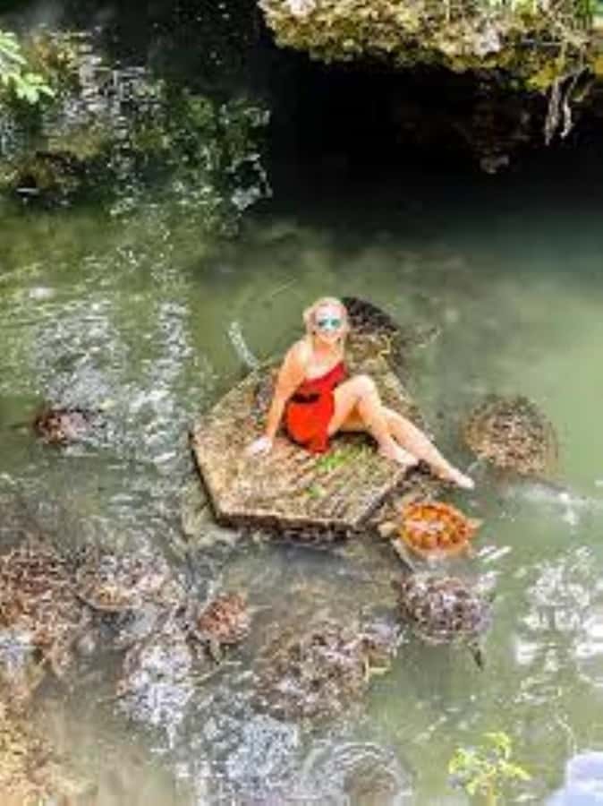 Zanzibar: Swim with Sea Turtles at Baraka or Salaam Aquarium - Photos, goggles, and practical details