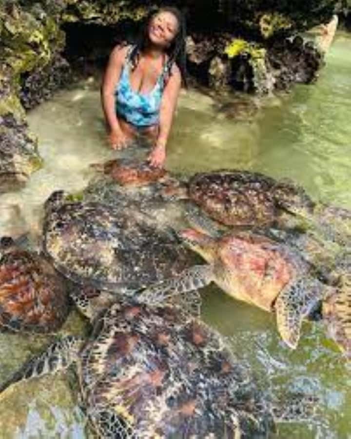 Zanzibar: Swim with Sea Turtles at Baraka or Salaam Aquarium - Who will enjoy this activity most