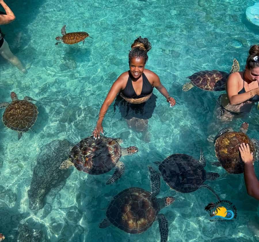 Zanzibar: Swimming with Turtles at Salaam Cave Aquarium - What happens at Salaam Cave Aquarium