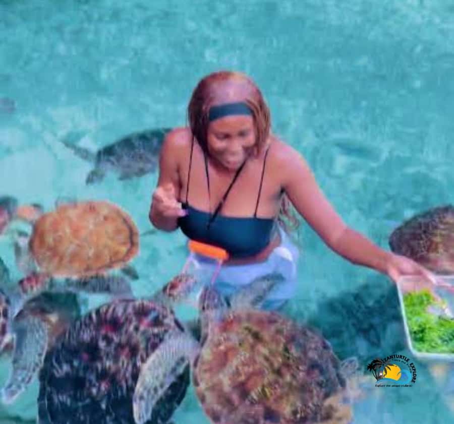 Zanzibar: Swimming with Turtles at Salaam Cave Aquarium - Is $56 a fair price?