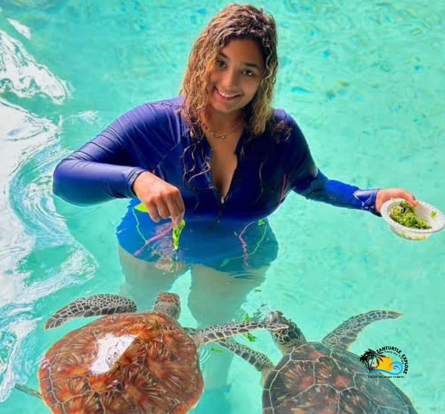 Zanzibar: Swimming with Turtles at Salaam Cave Aquarium - Timing, transport, and the four-hour schedule