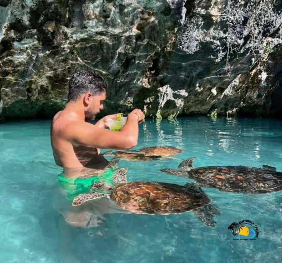 Zanzibar: Swimming with Turtles at Salaam Cave Aquarium - What the guides add
