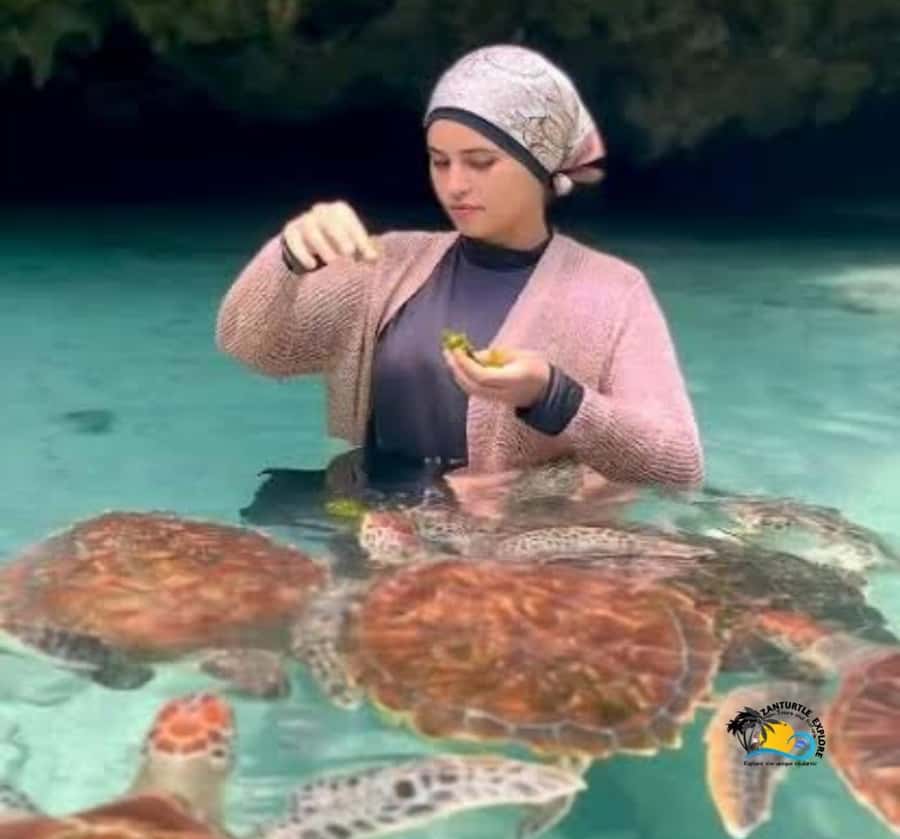 Zanzibar: Swimming with Turtles at Salaam Cave Aquarium - What to pack and what to leave behind