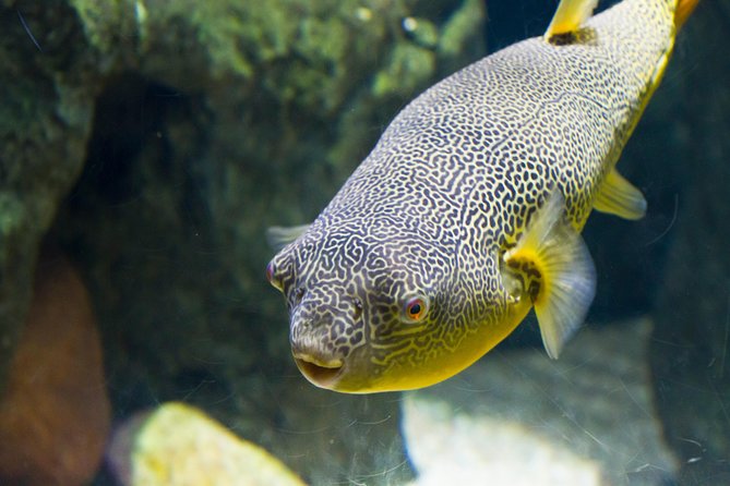 Zaragoza Aquarium Admission Ticket - What the Zaragoza Aquarium is really about