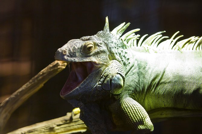 Zaragoza Aquarium Admission Ticket - Is $24.14 a fair price?