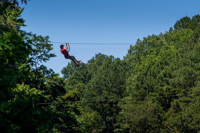 Ziplining and Climbing at The Adventure Park at Virginia Aquarium - Key things to know before you climb