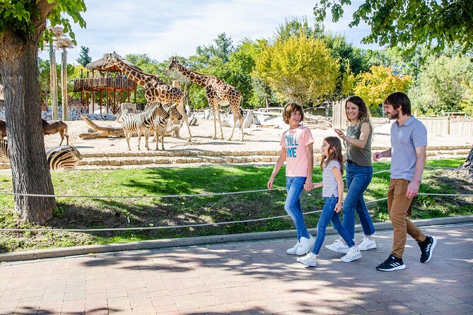 Zoo Aquarium Madrid Admission Ticket - Key points to know before you go
