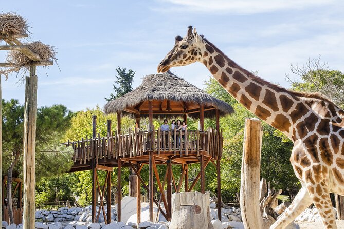 Zoo Aquarium Madrid Admission Ticket - Aviary and petting zoo for a broader family visit