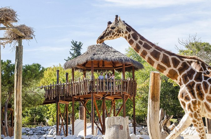 Zoo Aquarium Madrid Admission Ticket - Is $34.48 good value for one day?